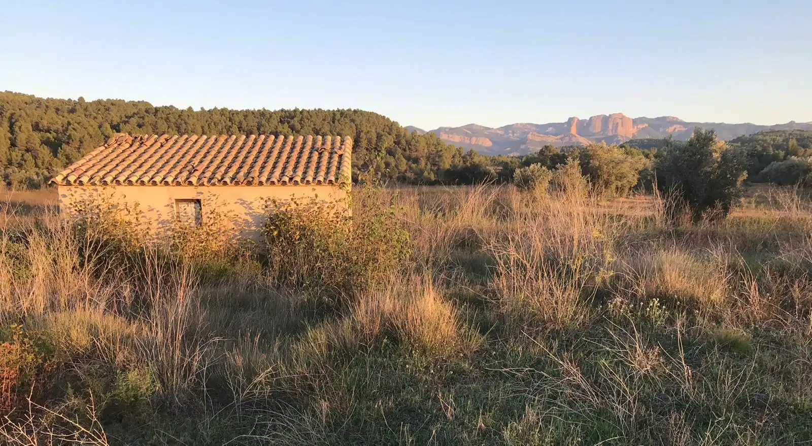 Terreno rustico in vendita a Lledó