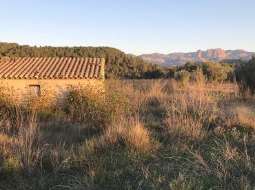 Terreno rustico in vendita a Lledó