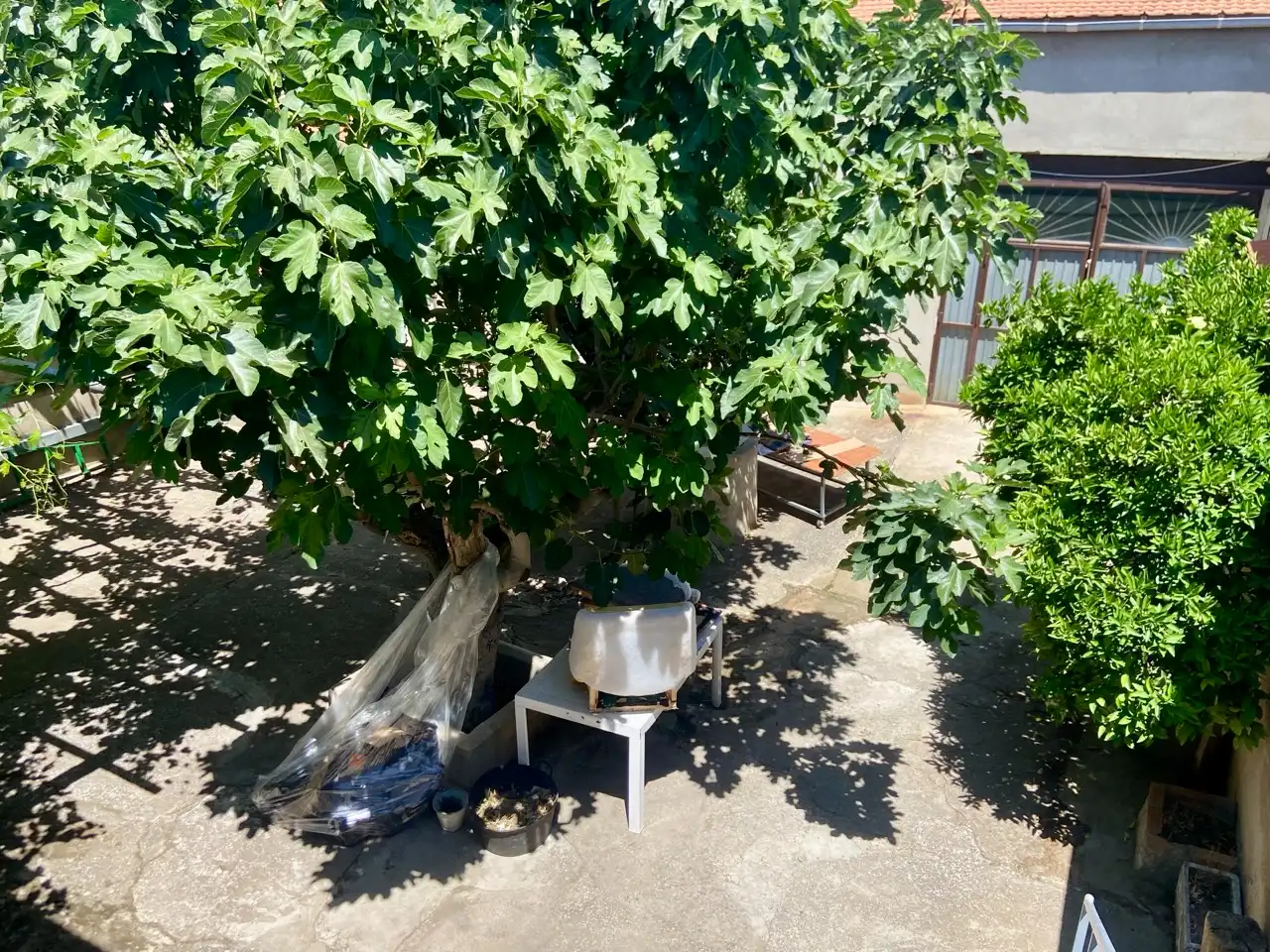 Habitatge amb jardí en venda a Calle Paradores, imagen 43