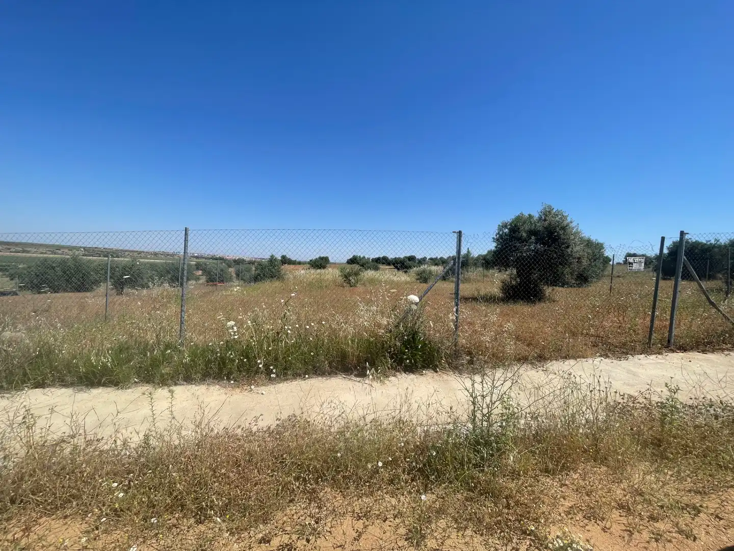 Terreny residencial en venda a Solana de los Barros, imagen 13