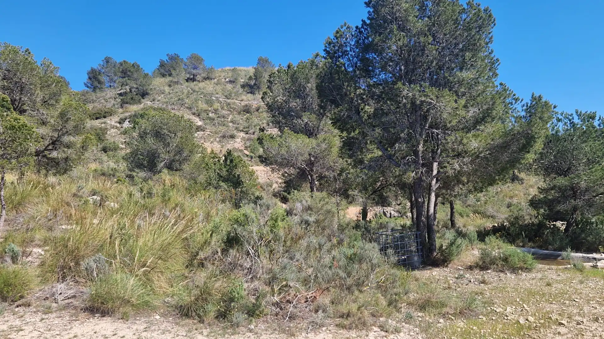 Terreno rustico in vendita a Lugar Castillo, imagen 9