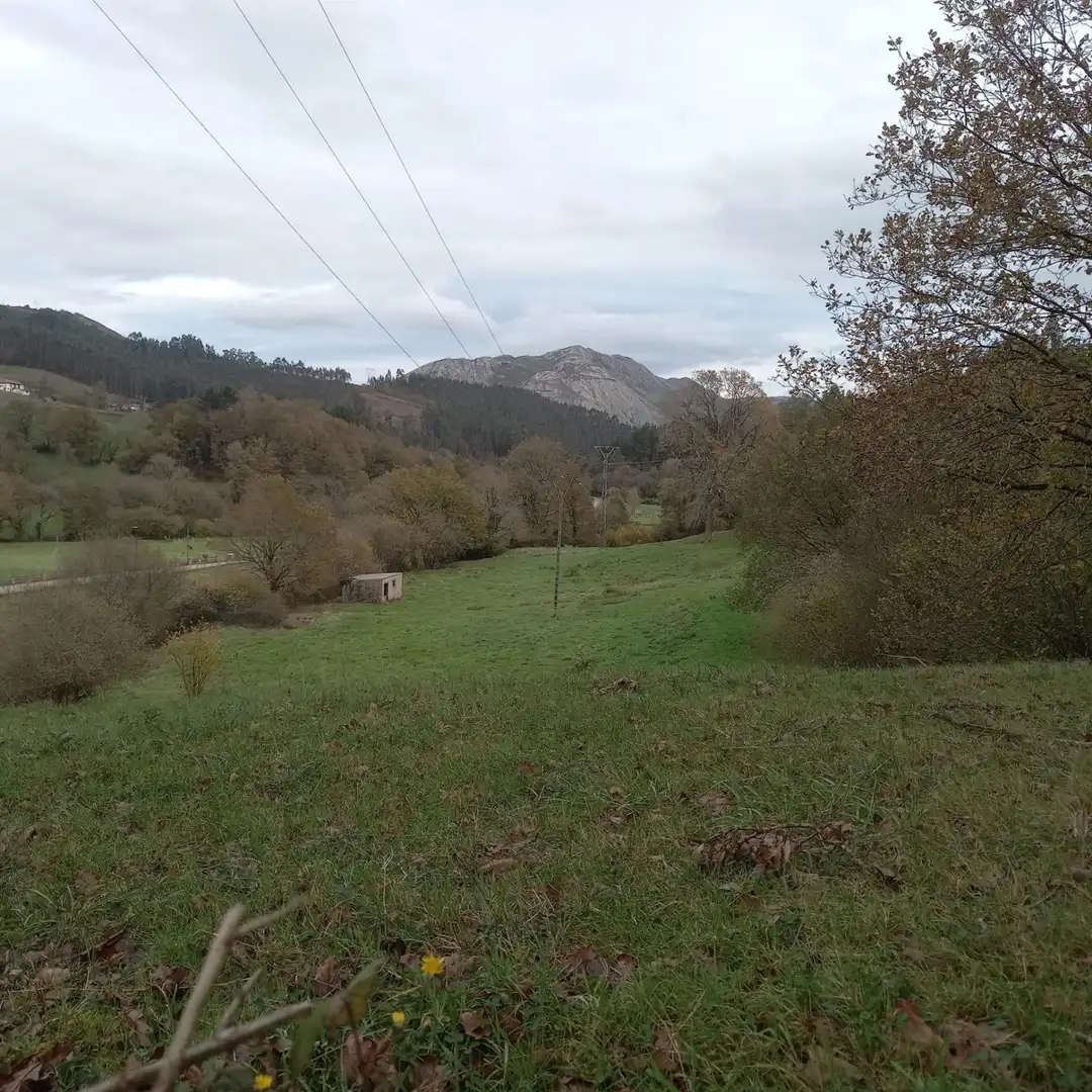 Terreno en venta en Los Corrales de Buelna 