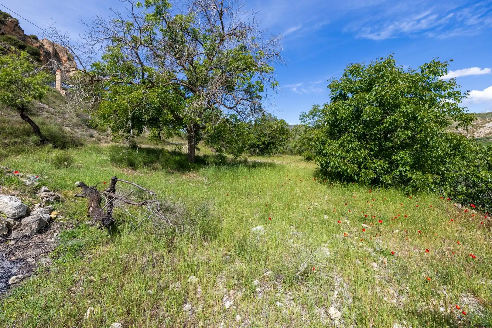 Detached house for sale in Lugar FUENTE BLANCA 7PF2, imagen 40