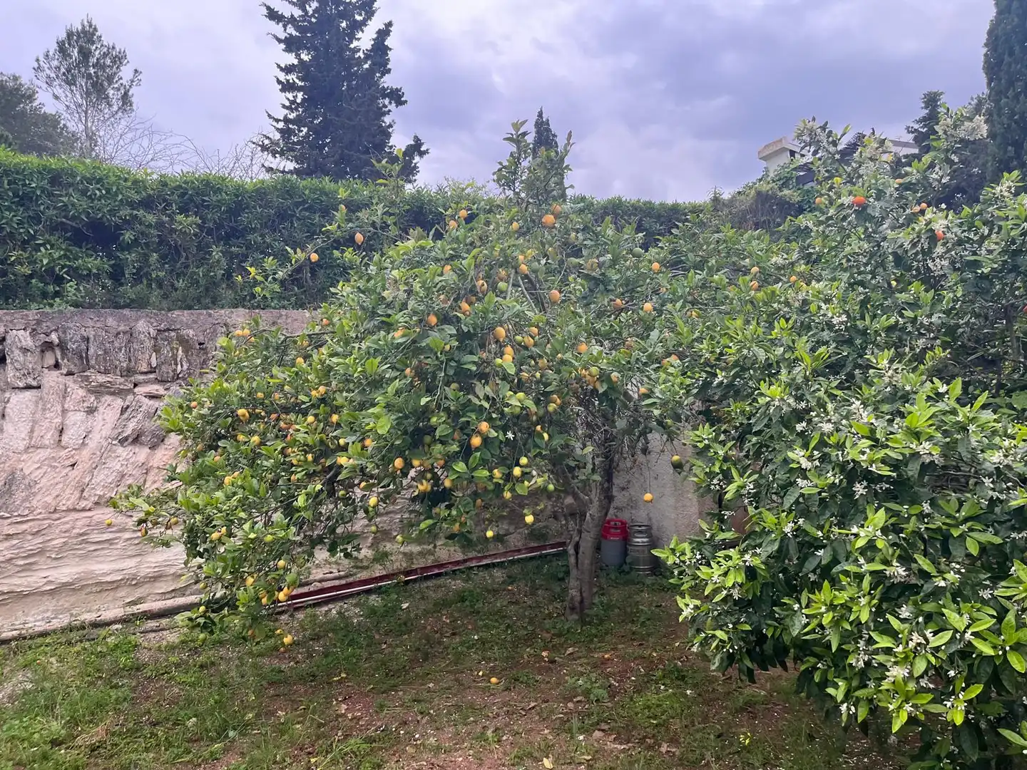 Casa en venta en Cap Martí - El Tossalet - Pinomar, imagen 37