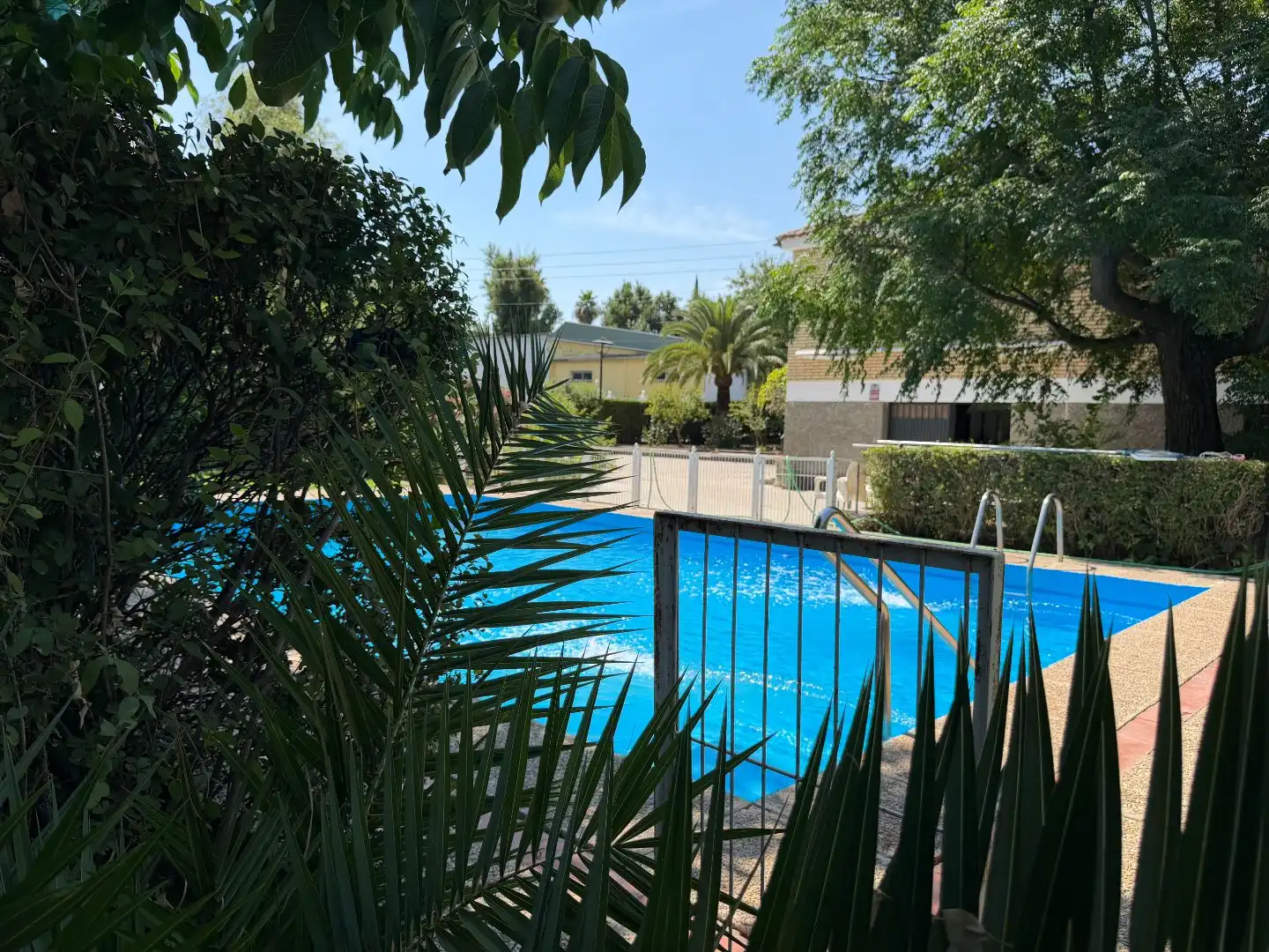 Piscina de Casa o xalet en venda en Poleares