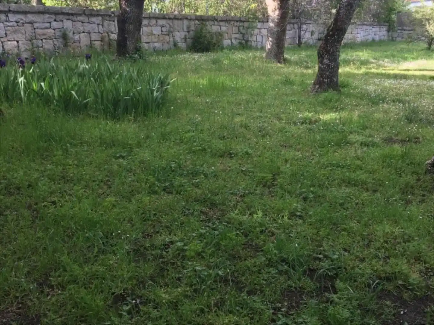Flat for rent in Cercedilla, Madrid