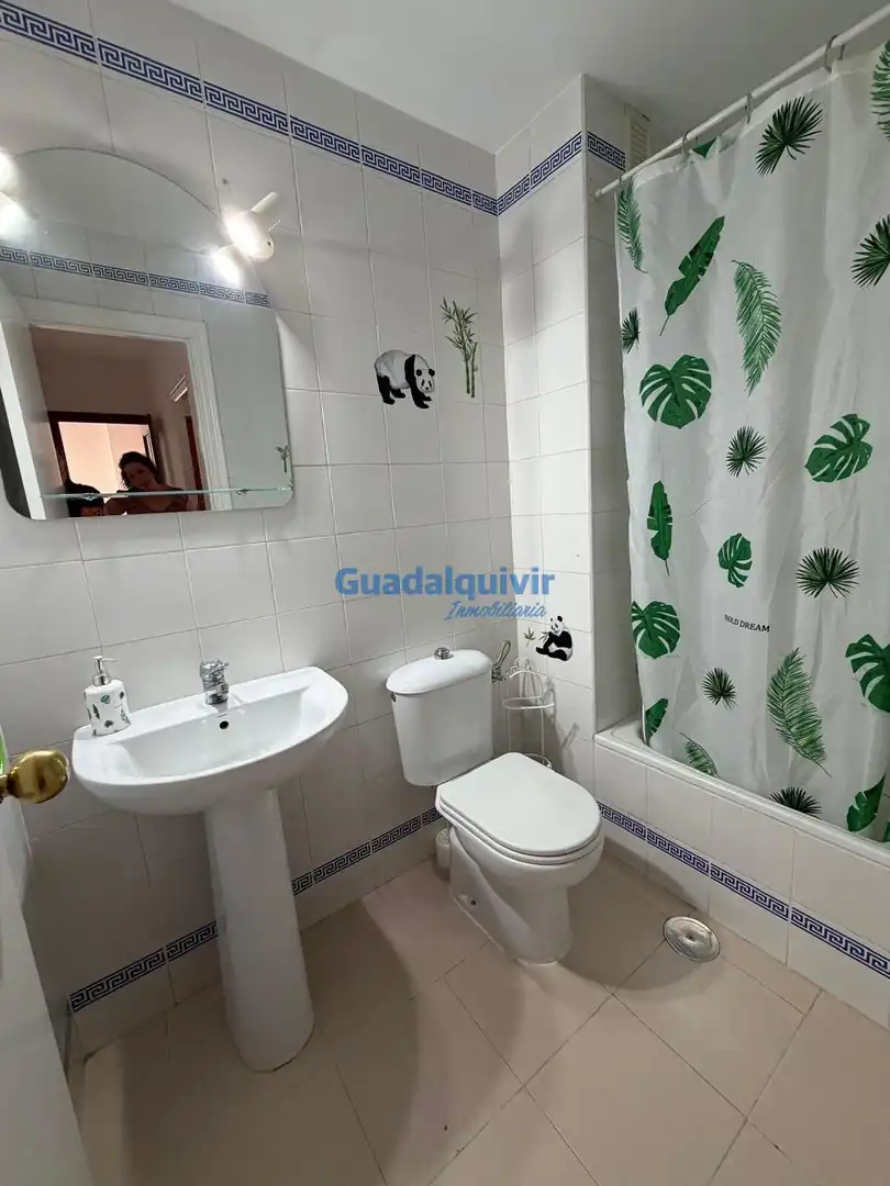 Wohnung zur Miete in Avenida de Europa