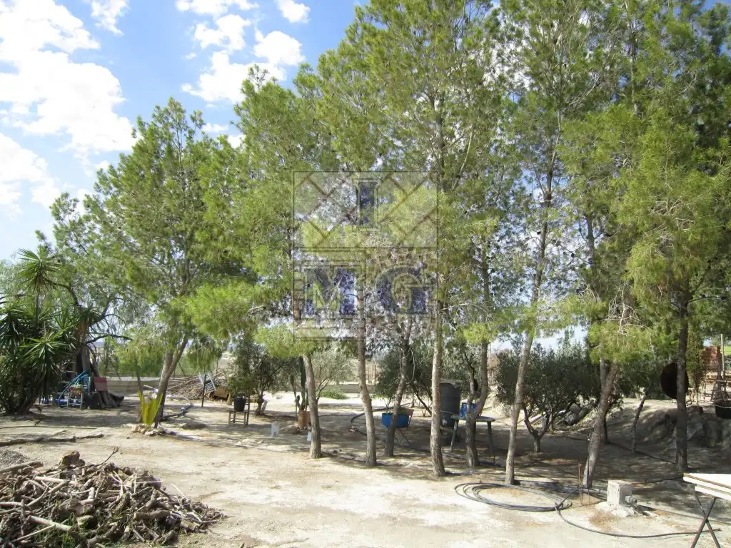 Casa o chalet en venta en Fortuna