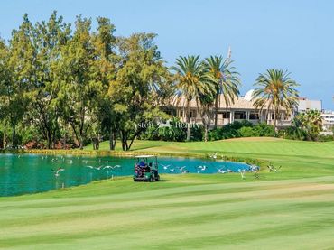 Casa amb piscina en venda a Landa Golf