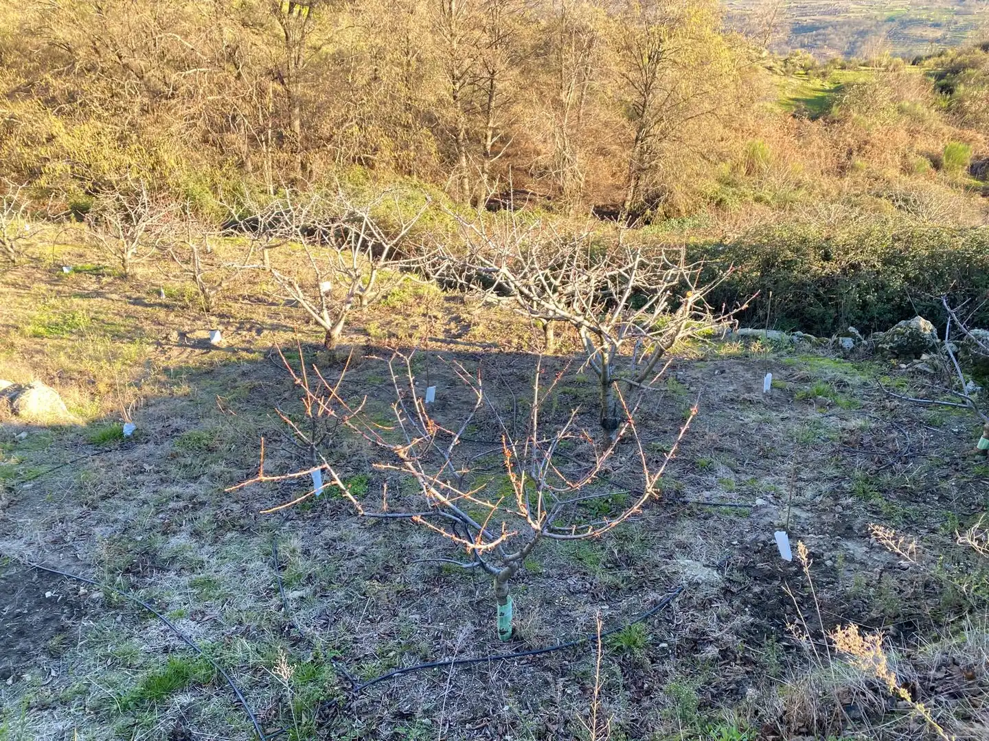 Terreni e lotti in vendita a El Torno, imagen 9