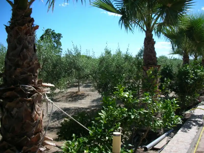 Jardín de Finca rústica en venta en La Ràpita con Jardín privado, Piscina y Alarma