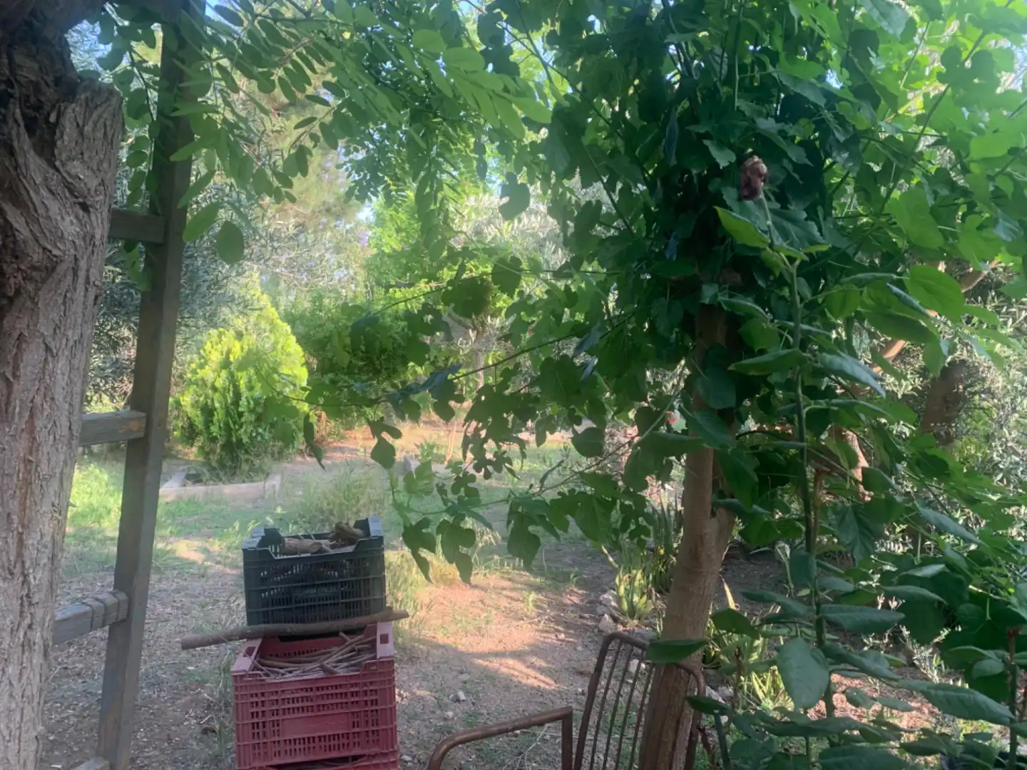 Finca rústica en venda a Alquerías