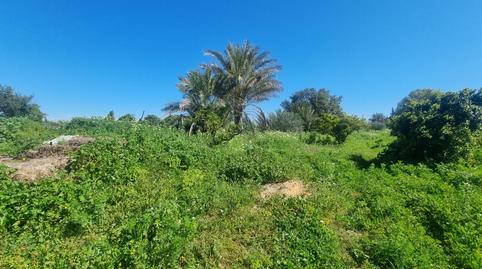Photo 2 of Land for sale in Carretera Carretera de Almensilla a Mairena, Nuevo Bulevar, Mairena del Aljarafe