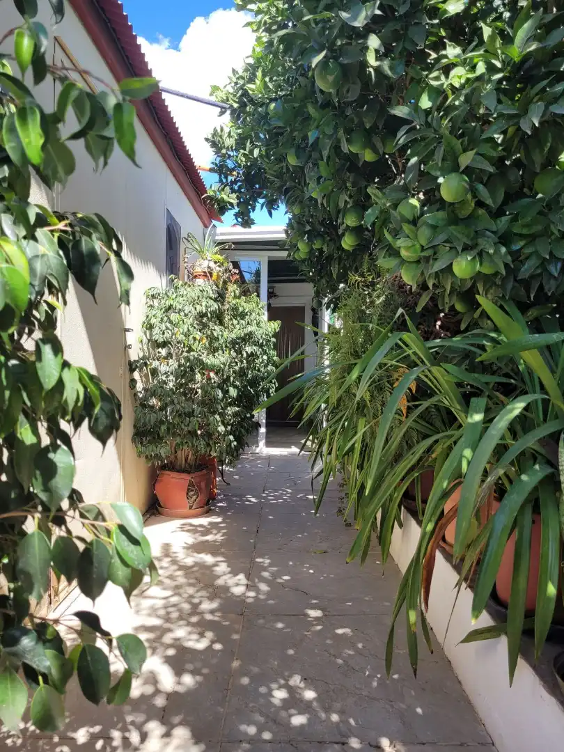 Adosado con terraza en venta en Calle Parque Central 5, imagen 23