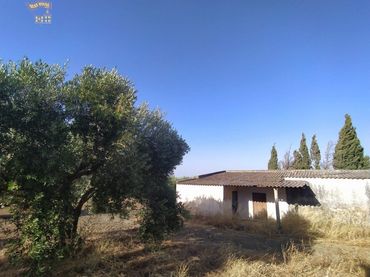 Maison rustique à vendre à Arcos de la Frontera