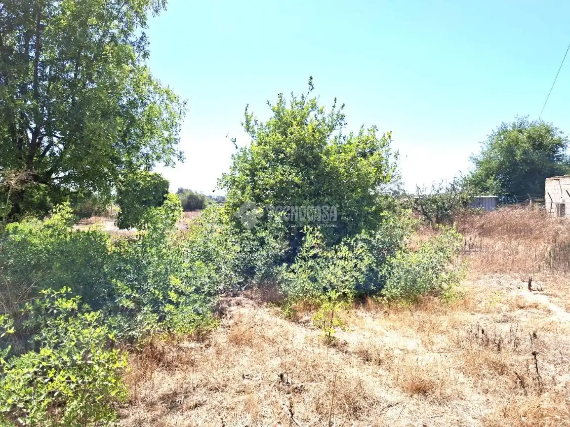 Finca rústica en venta en Almensilla con Trastero