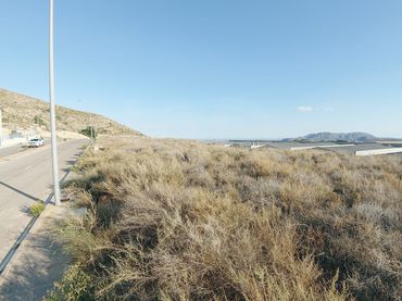 Terrenos y solares en venta en Agost