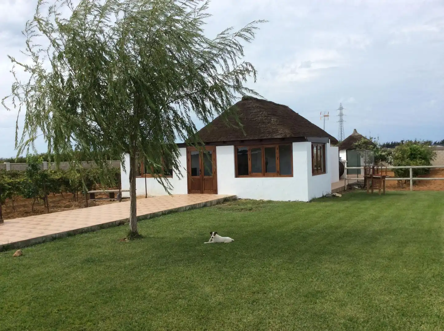 Jardí de Terreny en venda en Chipiona Norte