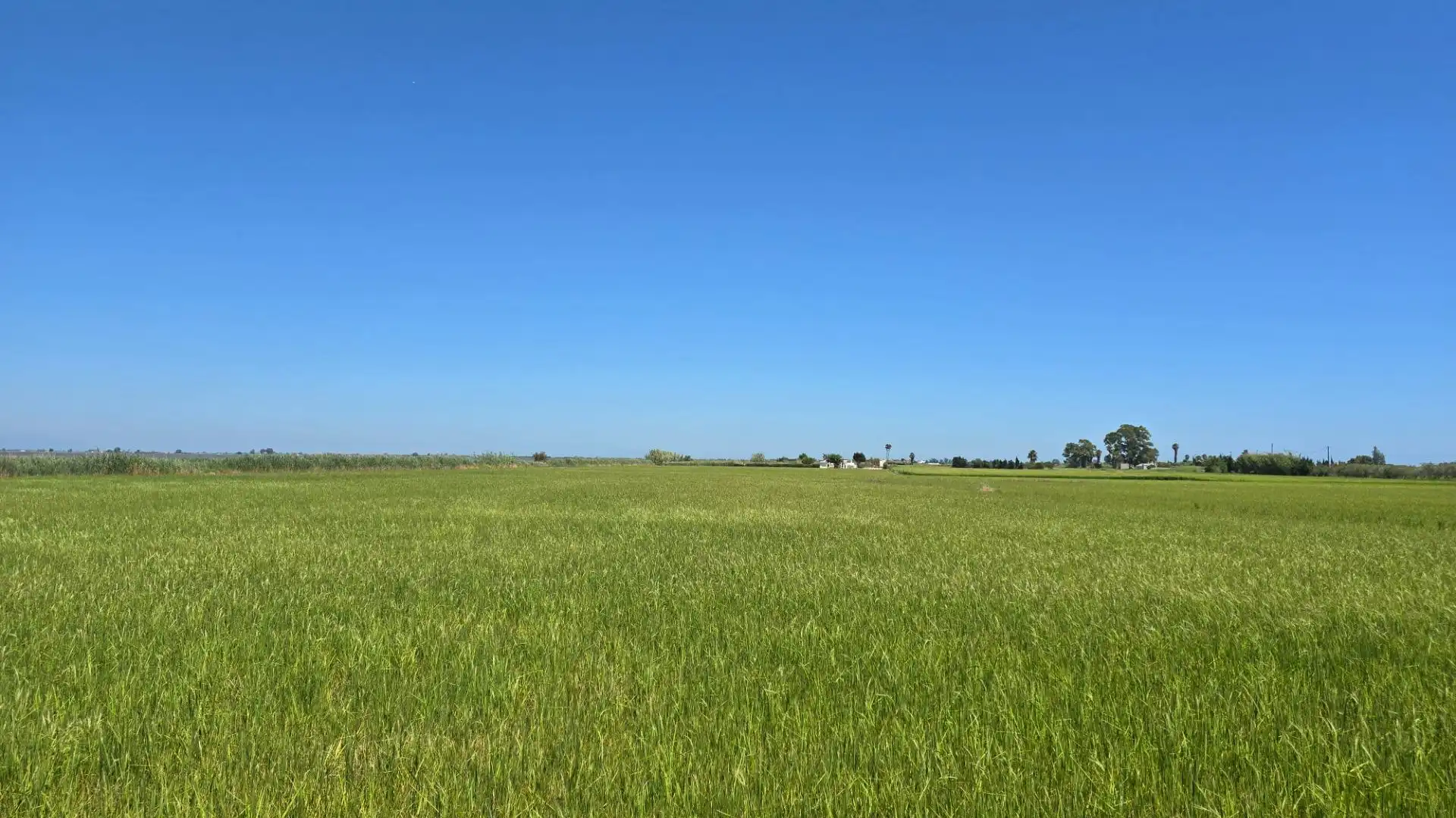 Terreno en venta en La Ràpita