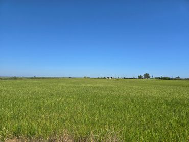 Rural land for sale in Centre