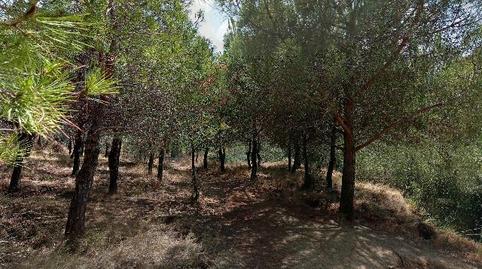 Foto 3 de Pis en venda a Cl Onze de Setembre (a), Centre, Viladecans