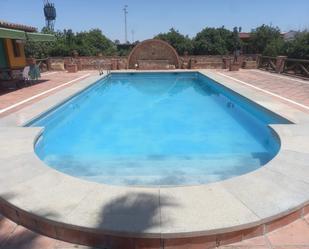 Swimming pool of Residential to rent in Fuente Palmera