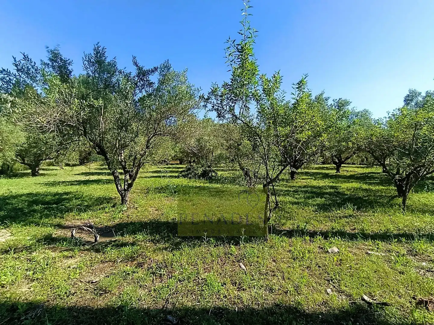 Casa o chalet en venta en El Pilar 