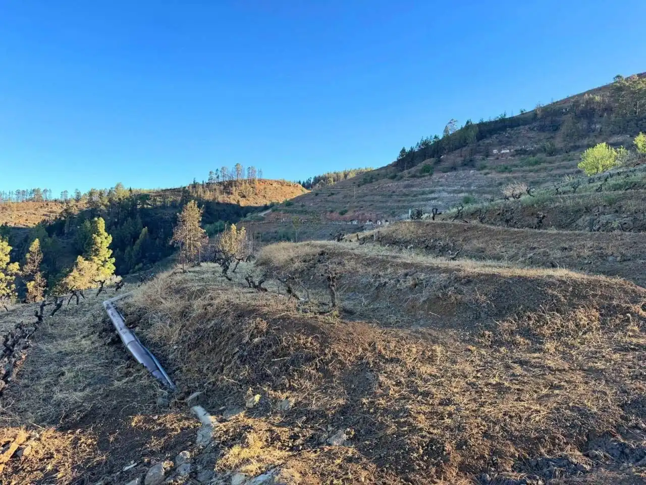 Rural land for sale in N/A, imagen 3