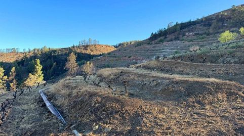 Foto 3 de Terreno en venta en N/a, Tijarafe, Santa Cruz de Tenerife