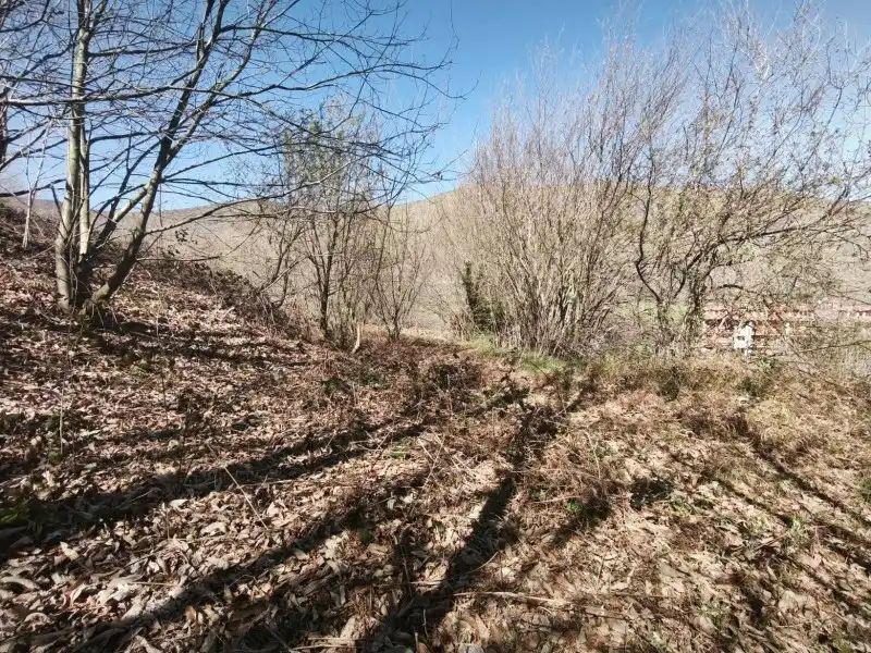 Terreni e lotti in vendita a Rionansa, imagen 21