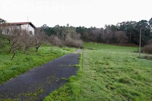 Finca rústica en venta en Berango
