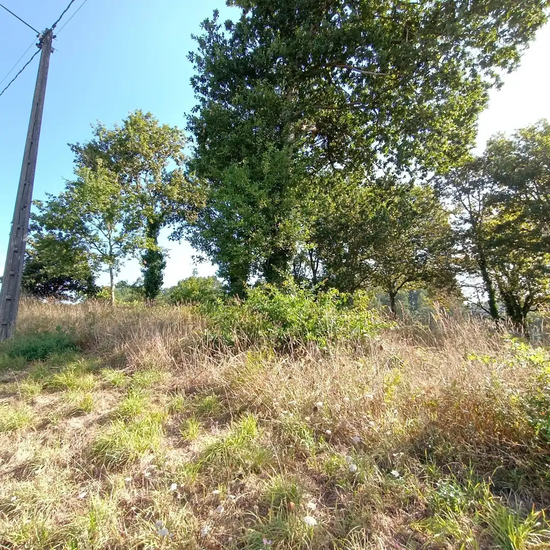 Residential zum Verkauf in Barro