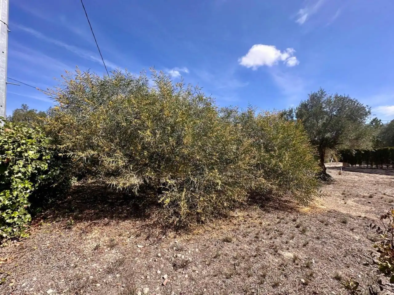 Finca rústica en venda a Poligono melik alto, Campo Alto - Club de Campo