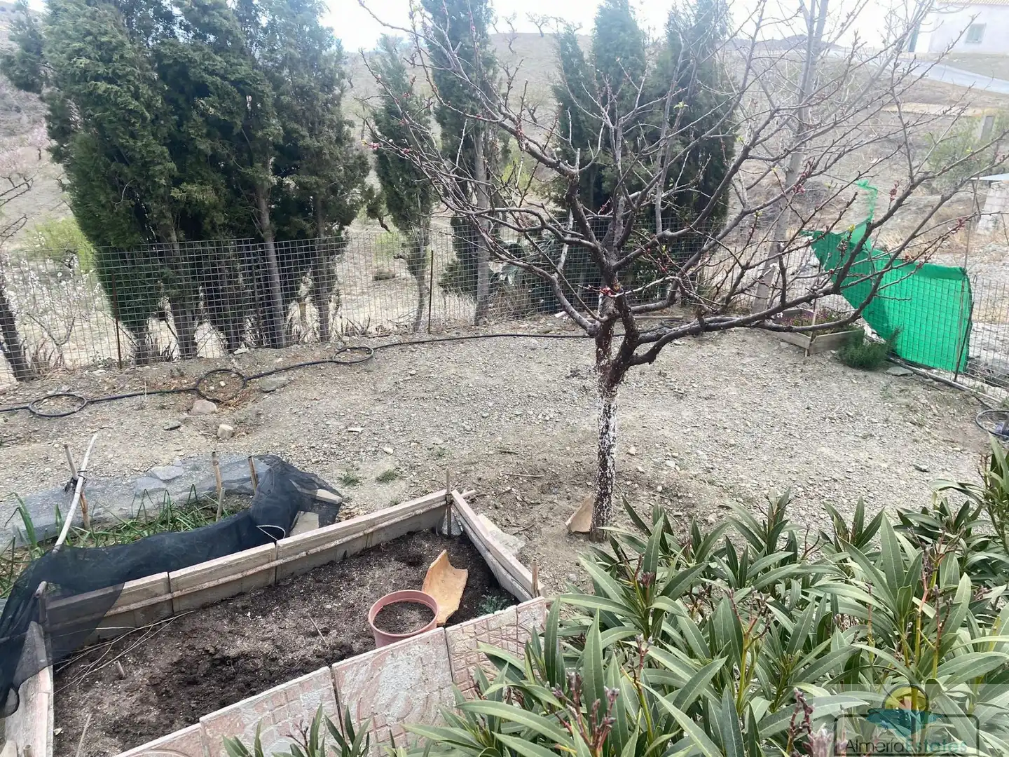 Finca rústica de alquiler en Vélez-Rubio
