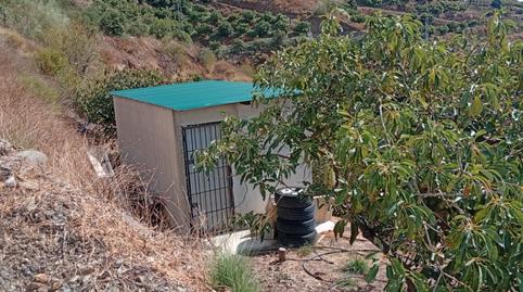 Foto 3 de Finca rústica en venda a Almuñecar Centro, Almuñécar