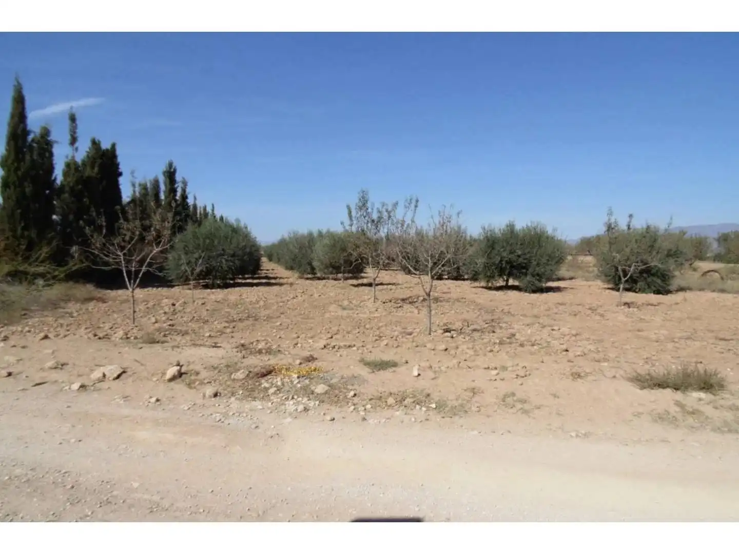 Casa o chalet en venta en Fuente Álamo de Murcia con Jardín privado