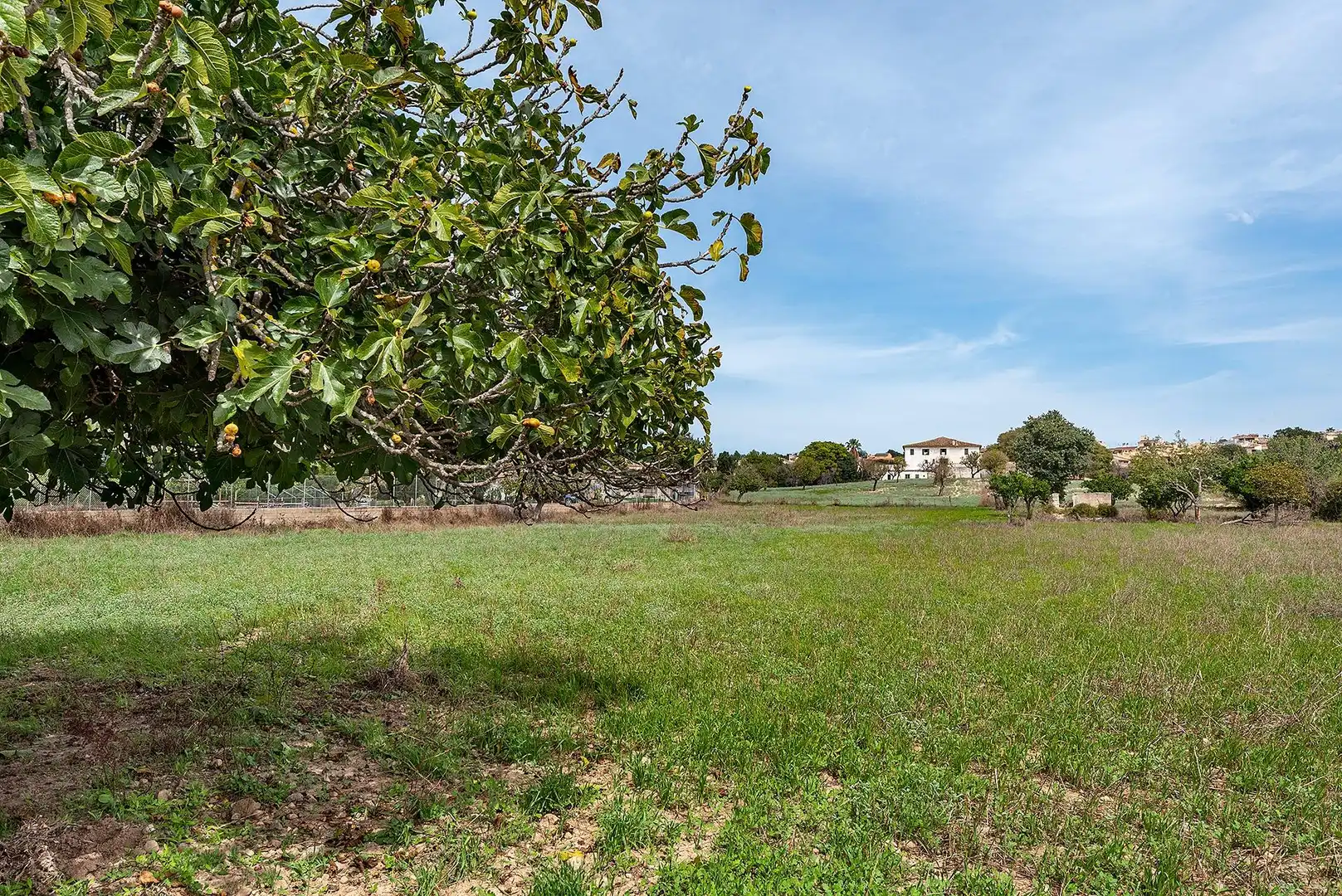 Country homes for sale in Campanet  with Private garden