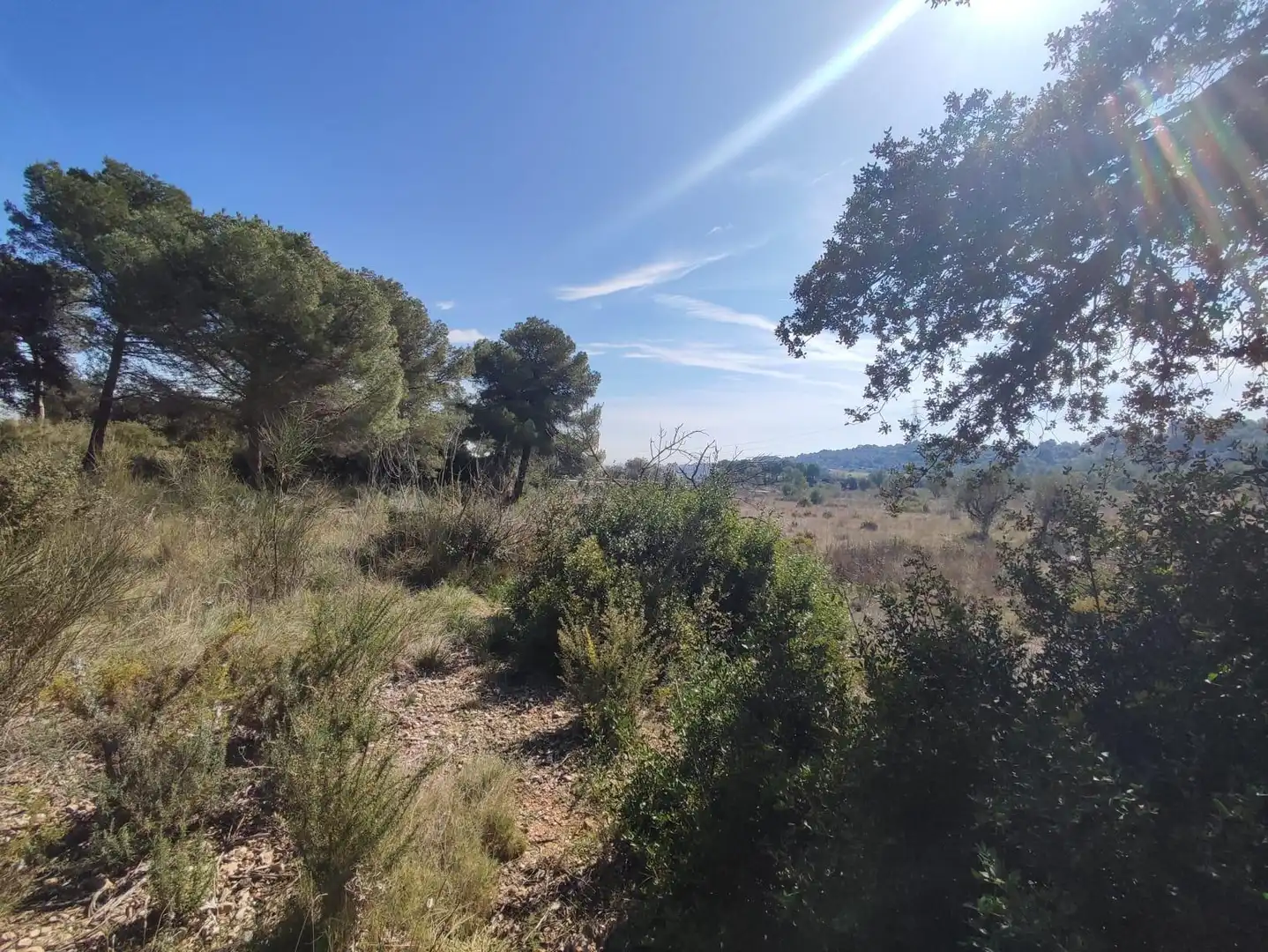 Country homes for sale in Collbató