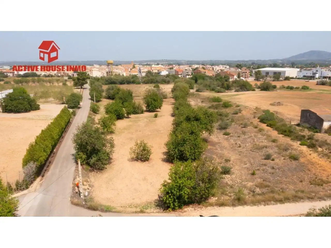 Terreno rustico in vendita a Calle Reis Católics