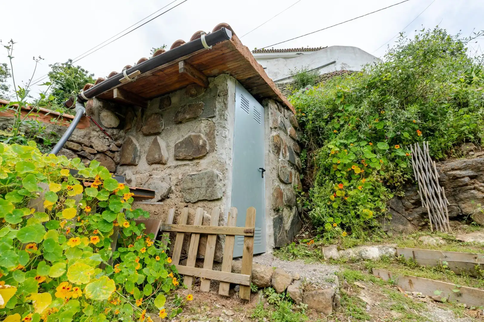 Exterior view of Land for sale in Teror