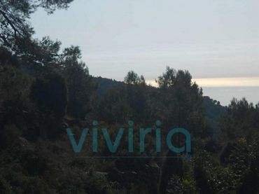 Terreno residencial en venta en Calle Canteres (Les)