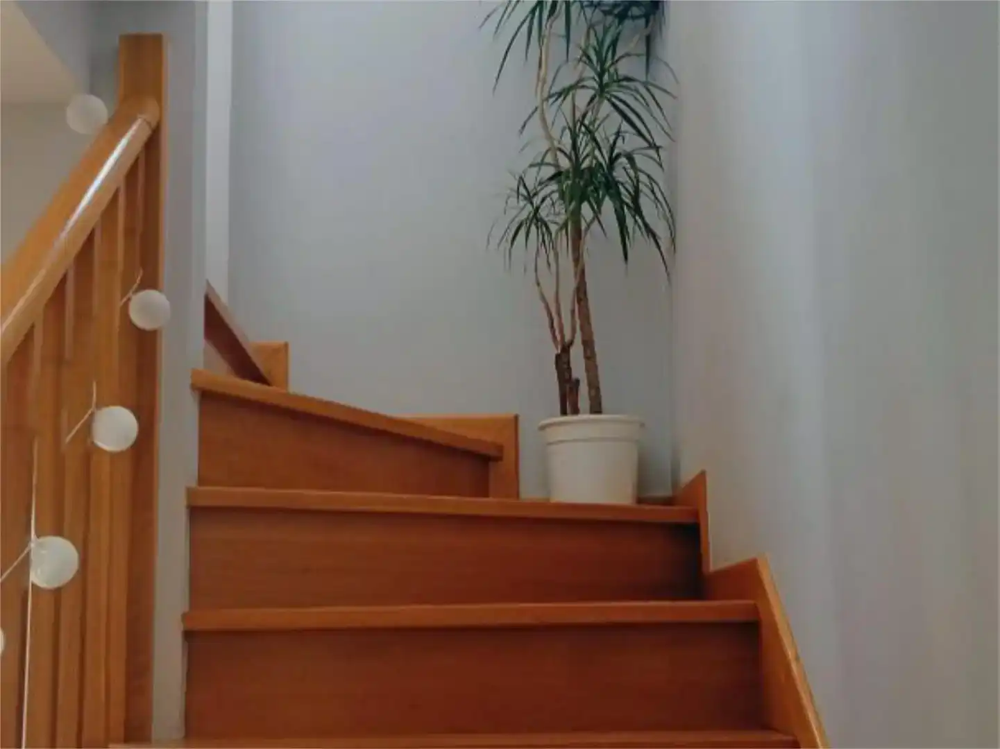 Flat for share in Santiago de Compostela   with Private garden, Parquet flooring and Storage room