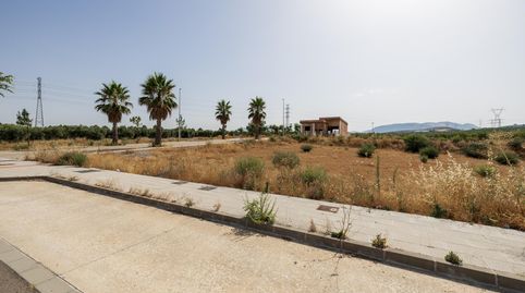 Terreno Urbano en La Nativa, immagine 4