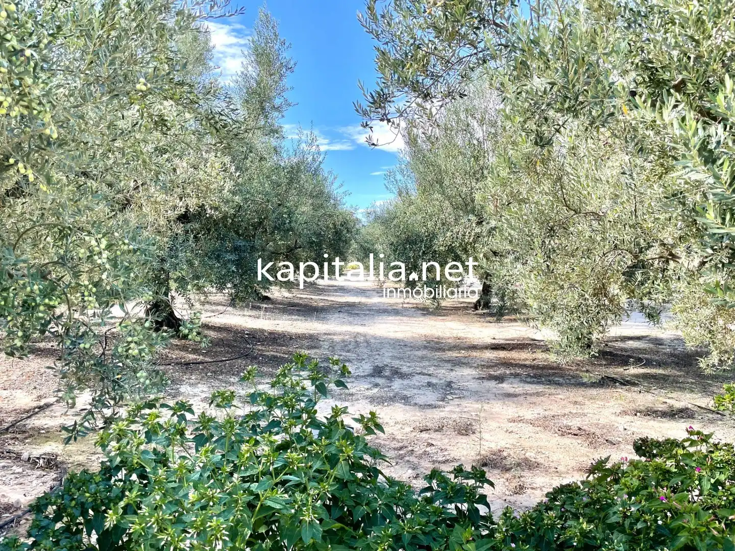 Casa o chalet en venta en Alcosser con Aire acondicionado, Calefacción y Jardín privado