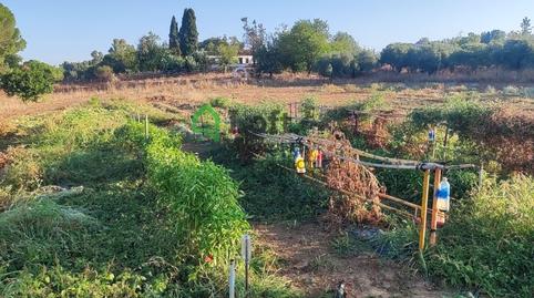 Photo 3 of Land for sale in Pedanías de Badajoz, Badajoz Capital