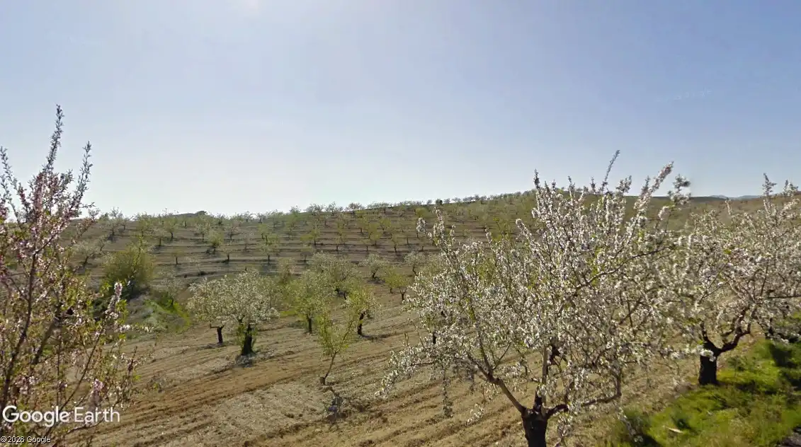 Terreno rustico in vendita a Taberno, imagen 4