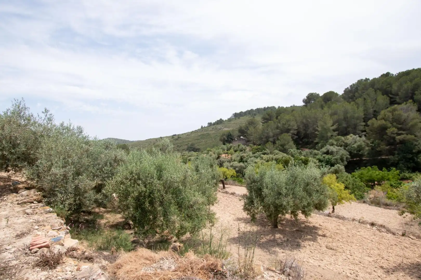 Finca rústica en venda en Benlloc amb Jardí privat, Terrassa i Traster