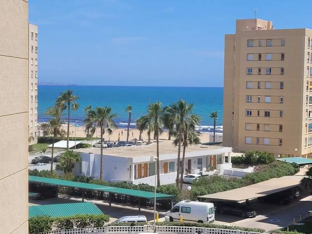 Apartamento en Alquiler en Calle Calle Músico Agustín Bertomeu, en Agua Amarga - Urbanova