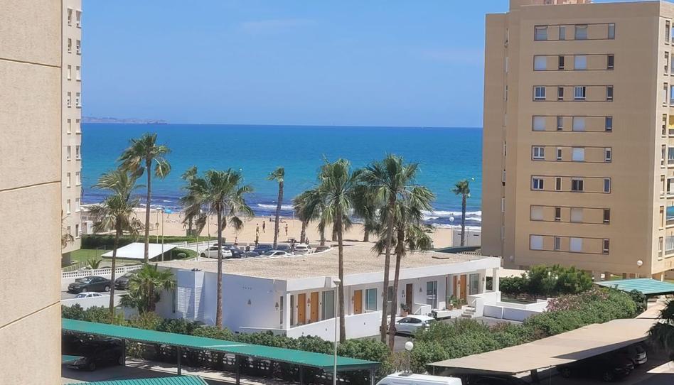 Photo 1 of Apartment to rent in Calle Calle Músico Agustín Bertomeu,, Agua Amarga - Urbanova, Alicante