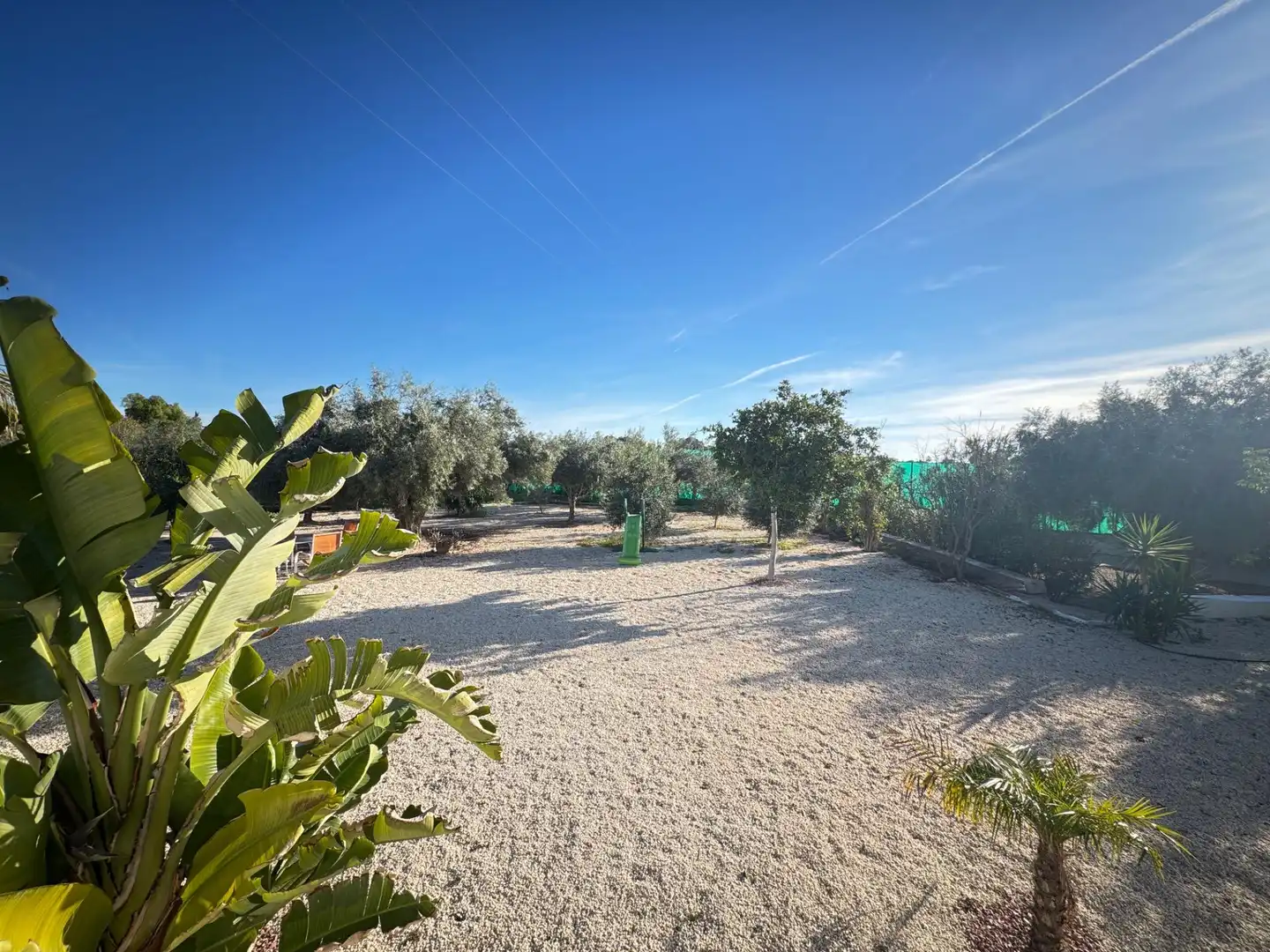 Chalet con piscina en venta en Partidas de Alicante, imagen 18